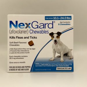 Nexgard 10-24#